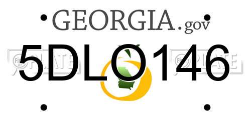 5DLO146 Georgia License Plate