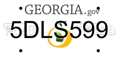 5DLS599 Georgia License Plate