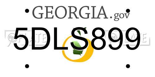 5DLS899 Georgia License Plate
