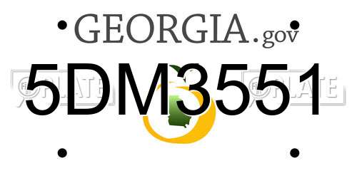5DM3551 Georgia License Plate