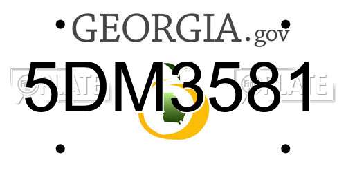 5DM3581 Georgia License Plate