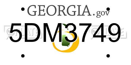 5DM3749 Georgia License Plate