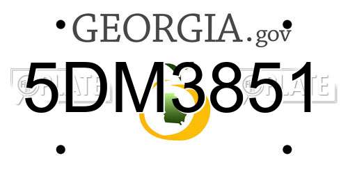 5DM3851 Georgia License Plate