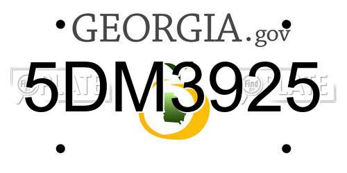5DM3925 Georgia License Plate