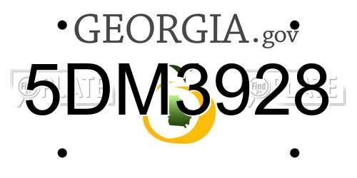 5DM3928 Georgia License Plate