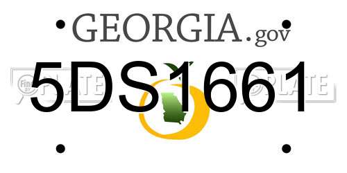 5DS1661 Georgia License Plate