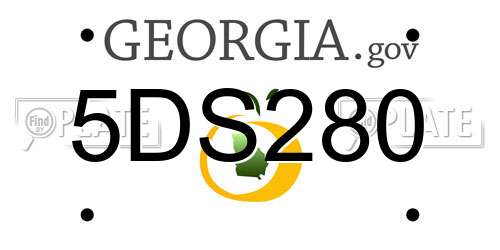 5DS280 Georgia License Plate