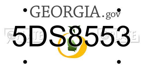 5DS8553 Georgia License Plate