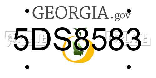 5DS8583 Georgia License Plate