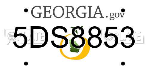 5DS8853 Georgia License Plate