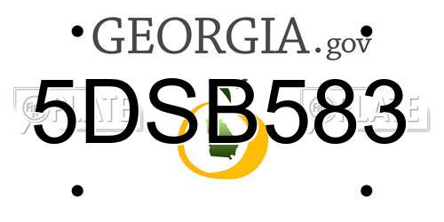5DSB583 Georgia License Plate