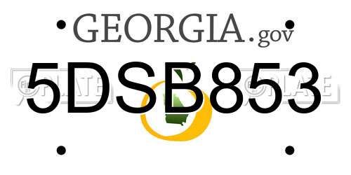 5DSB853 Georgia License Plate