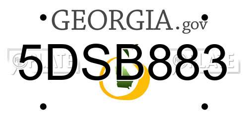 5DSB883 Georgia License Plate