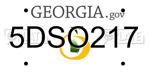 5DSO217 Georgia License Plate