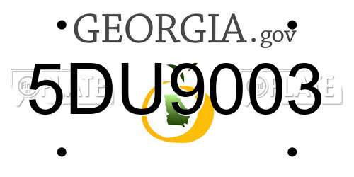5DU9003 Georgia License Plate
