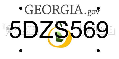 5DZS569 Georgia License Plate