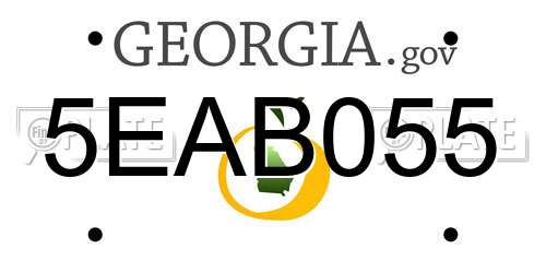 5EAB055 Georgia License Plate