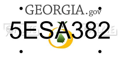 5ESA382 Georgia License Plate