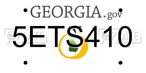 5ETS410 Georgia License Plate