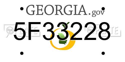 5F33228 Georgia License Plate