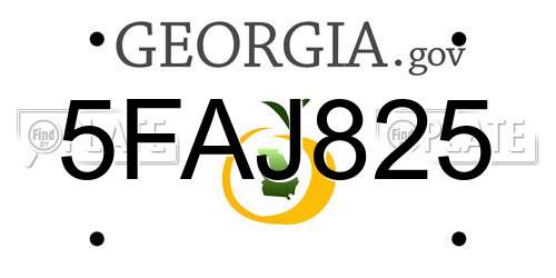 5FAJ825 Georgia License Plate