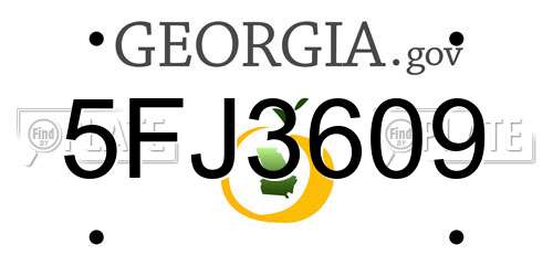 5FJ3609 Georgia License Plate
