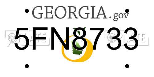 5FN8733 Georgia License Plate