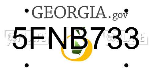5FNB733 Georgia License Plate