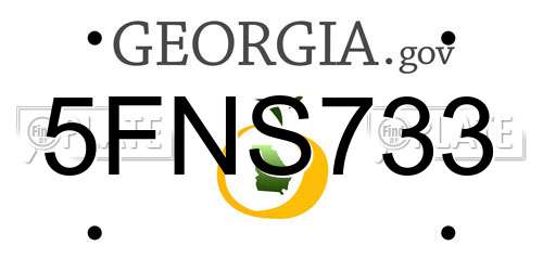 5FNS733 Georgia License Plate