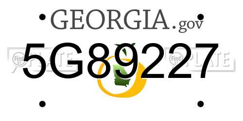 5G89227 Georgia License Plate