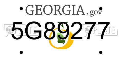 5G89277 Georgia License Plate