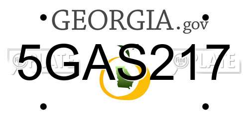 5GAS217 Georgia License Plate