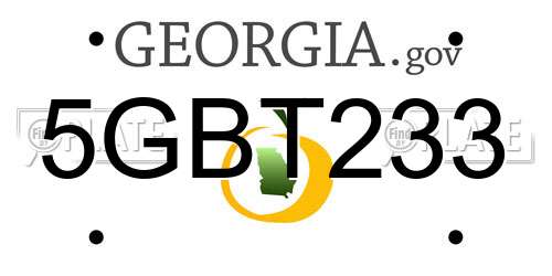 5GBT233 Georgia License Plate