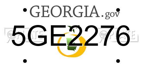 5GE2276 Georgia License Plate