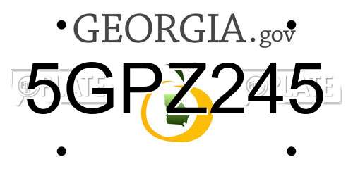 5GPZ245 Georgia License Plate
