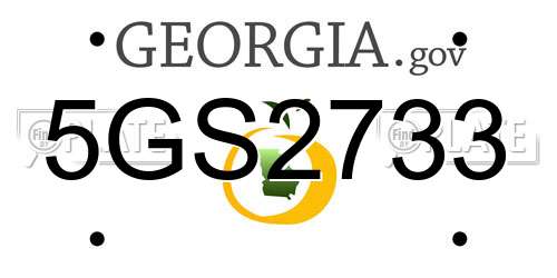 5GS2733 Georgia License Plate