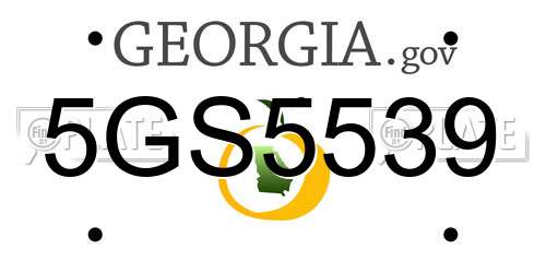 5GS5539 Georgia License Plate