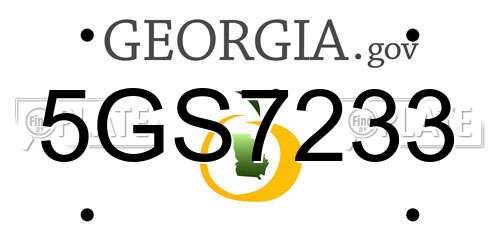 5GS7233 Georgia License Plate