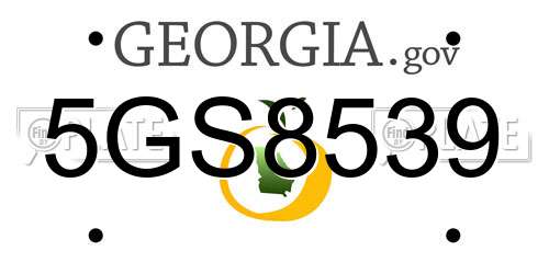5GS8539 Georgia License Plate