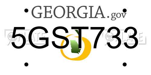 5GST733 Georgia License Plate