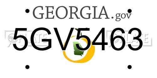 5GV5463 Georgia License Plate