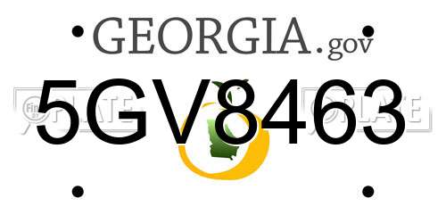 5GV8463 Georgia License Plate