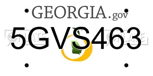 5GVS463 Georgia License Plate