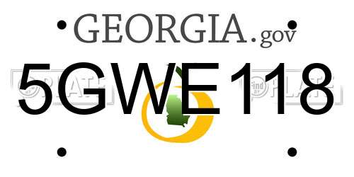 5GWE118 Georgia License Plate