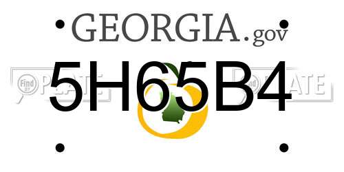 5H65B4 Georgia License Plate