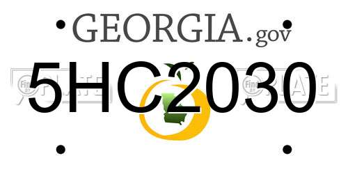 5HC2030 Georgia License Plate