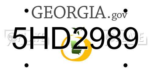 5HD2989 Georgia License Plate