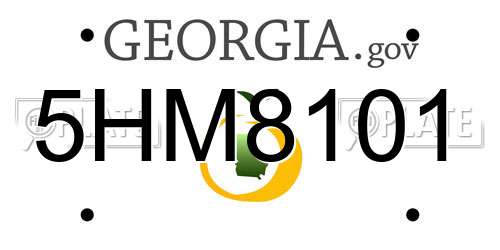 5HM8101 Georgia License Plate