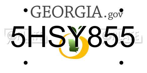 5HSY855 Georgia License Plate