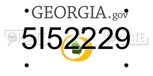 5I52229 Georgia License Plate